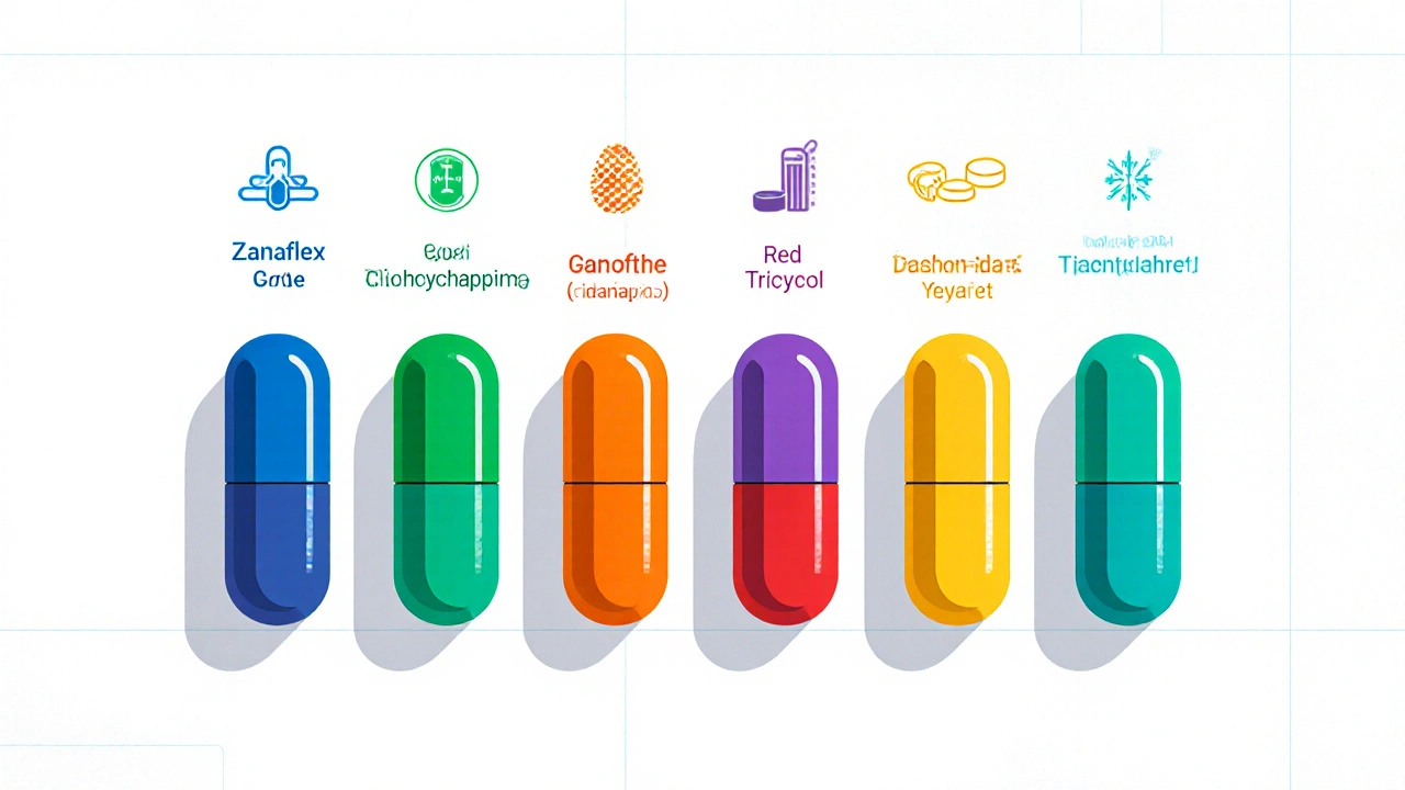 Colorful lineup of muscle relaxant pills with icons indicating mechanisms and half‑life.