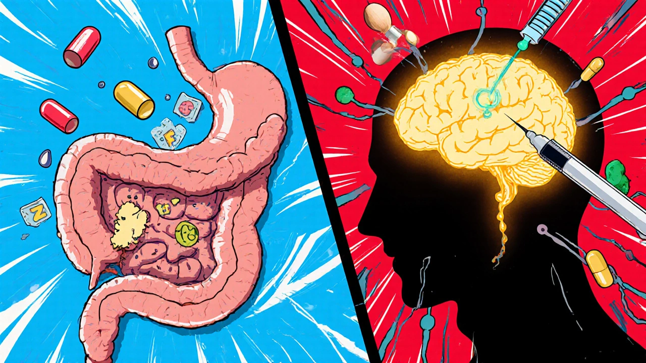 Split scene showing Trim Z blocking fat in the stomach and brain signals for other weight‑loss drugs.
